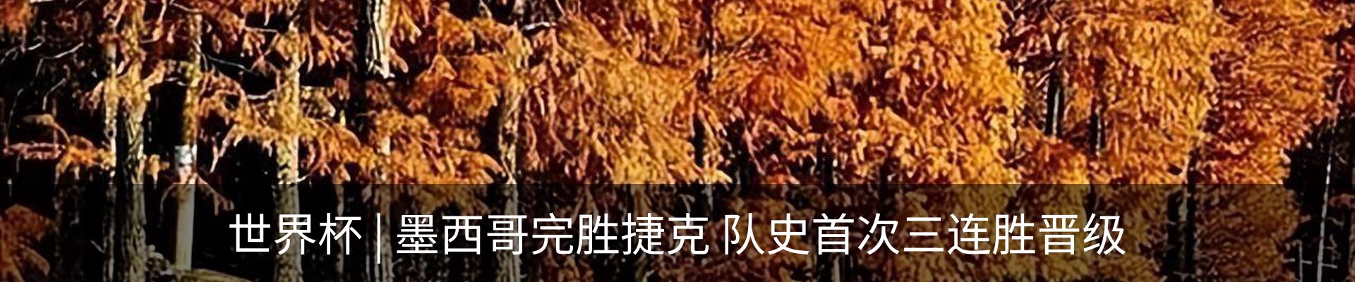 资讯动态